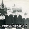 Братья Шаманины
